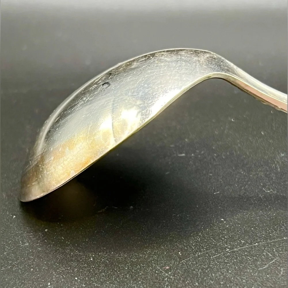 Vintage Wm A Rogers Oneida Silver Plated Vanessa Francesca Ladle Spoon 6.5 in
